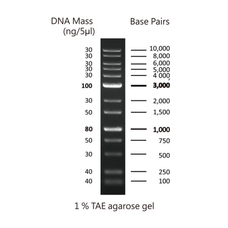 Cleaver Scientific multiSUB Choice Complete Agarose Gel Kits