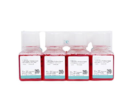 Rabbit Intervertebral Disc Fibroblast Cells Complete Medium ...