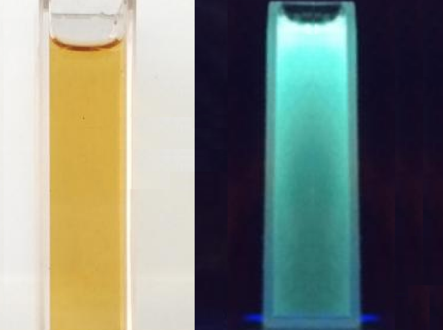 MSE PRO Carbon Quantum Dot Dispersion (Green Fluorescence), Chemicals and Compounds, MSE Supplies LLC, MSE Supplies