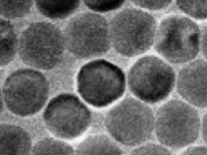 MSE PRO Oil Dispersible Core-shell Upconverting Nanoparticles Solution, 10mg/bottle, Chemicals and Compounds, MSE Supplies LLC, MSE Supplies