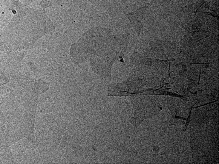 MSE PRO Carboxyl Graphene Oxide Powder, 500mg, Chemicals and Compounds, MSE Supplies LLC, MSE Supplies