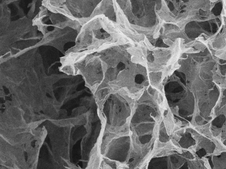 MSE PRO Graphene Sponges (Hydrothermal Method), Laboratory Supplies, MSE Supplies LLC, MSE Supplies