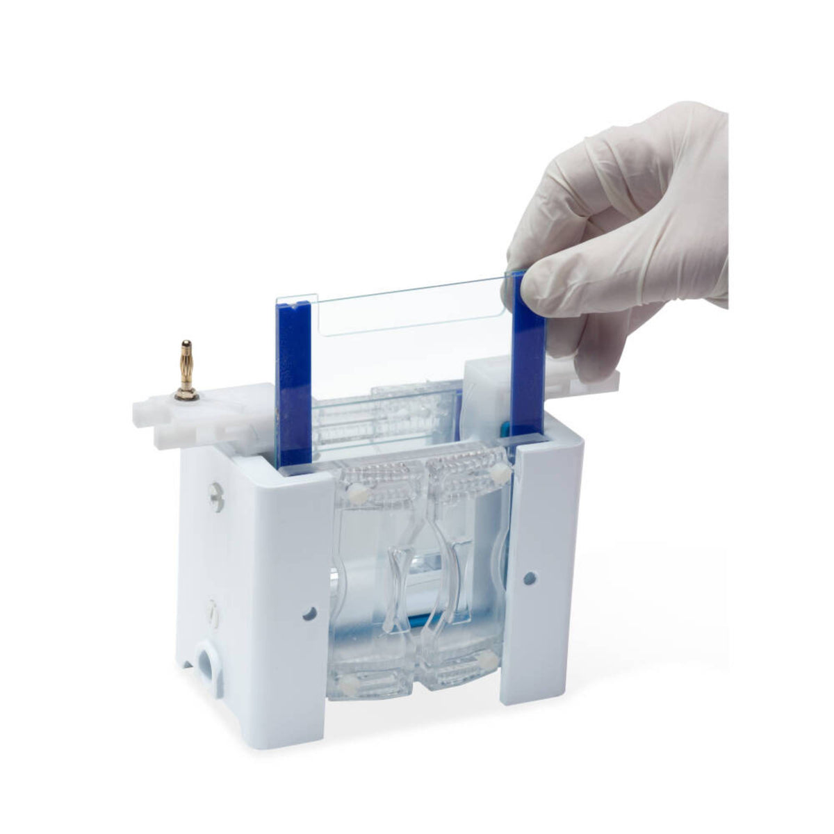 Cleaver Scientific omniPAGE Mini Vertical Electrophoresis System