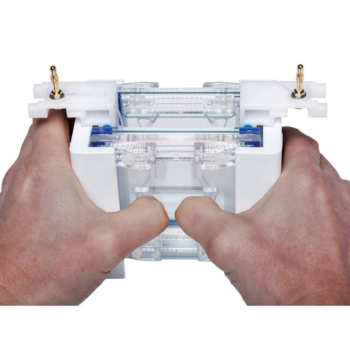 Cleaver Scientific omniPAGE Mini Vertical Electrophoresis System