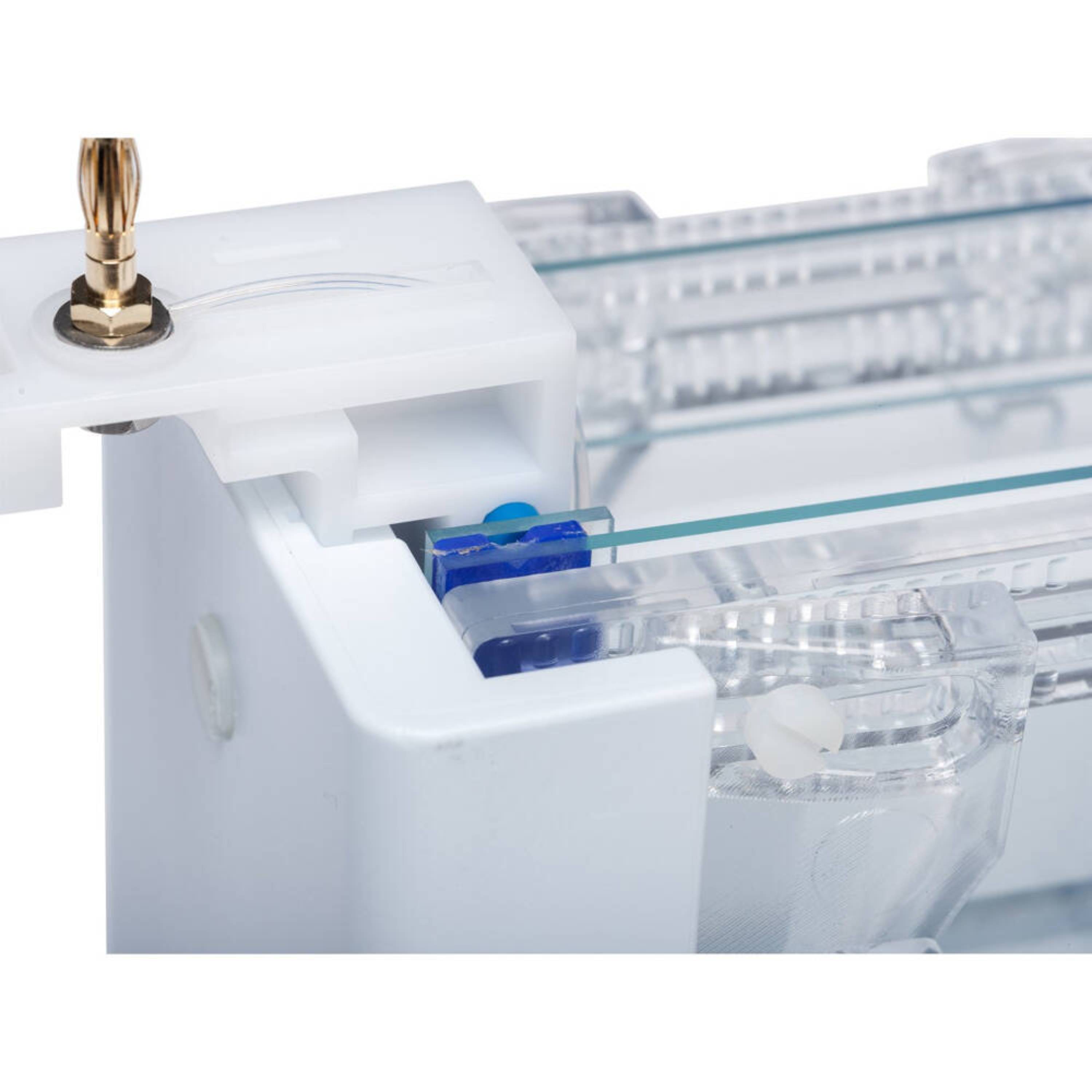 Cleaver Scientific omniPAGE Mini Vertical Electrophoresis System