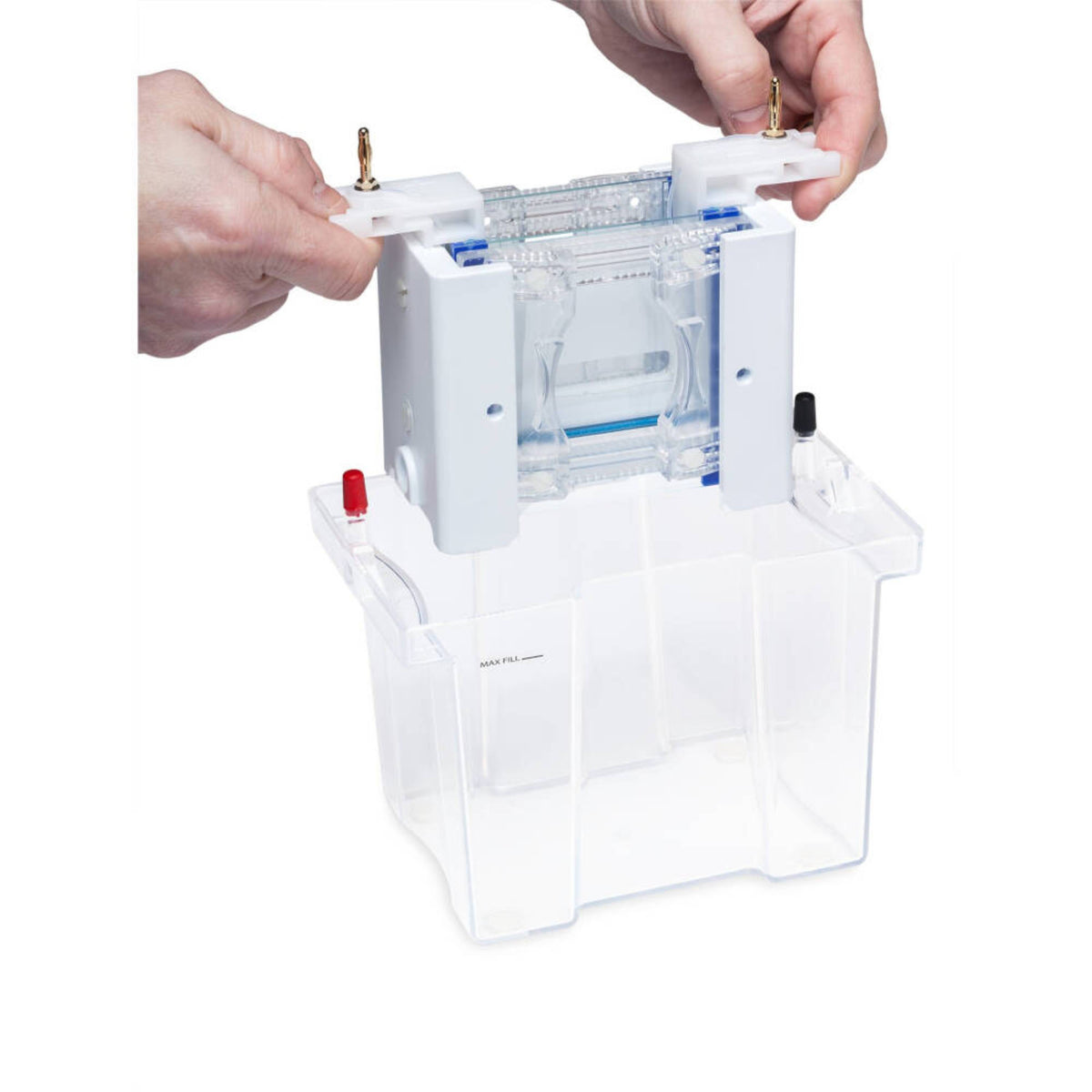 Cleaver Scientific omniPAGE Mini Vertical Electrophoresis System