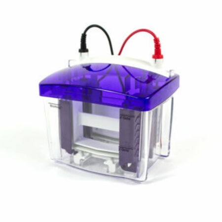 Cleaver Scientific proPAGE Mini Vertical Electrophoresis System