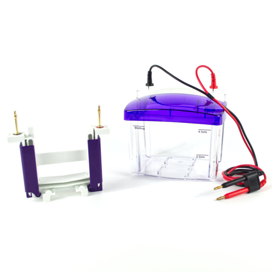 Cleaver Scientific proPAGE Mini Vertical Electrophoresis System