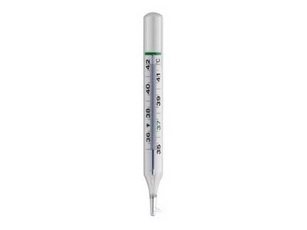 Witeg Clinical Thermometer Oval Form 