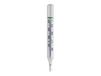Witeg Clinical Thermometer Oval Form 