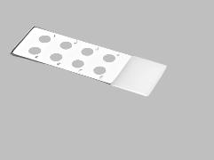 Witeg Fluorescent Antibody Slide 75 x 25 x 1 MM