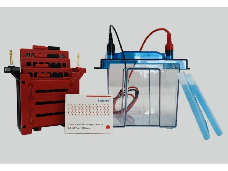 MSE PRO MiniGel Vertical Transfer Electrophoresis Chamber, Gel Electrophoresis, MSE Supplies LLC, MSE Supplies