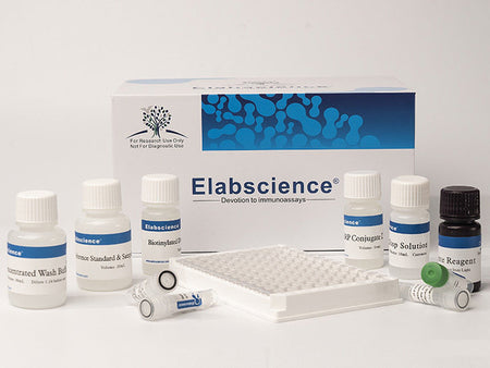 Chicken IL-1β(Interleukin 1 Beta) ELISA Kit, Cell Assays, Elabscience Biotechnology, MSE Supplies