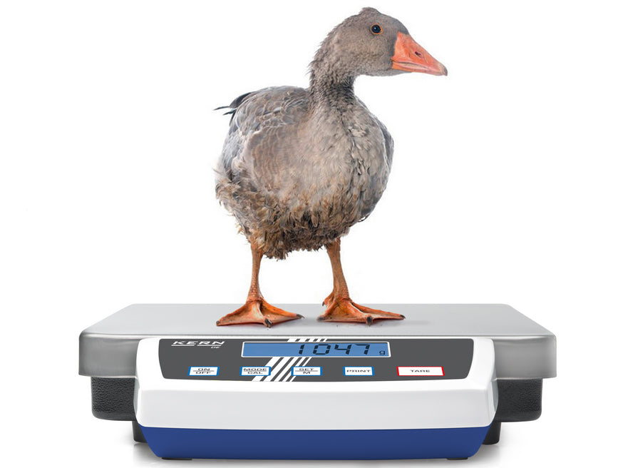 Kern Platform Scale DE 60K10D, Balances and Scales, Kern, MSE Supplies