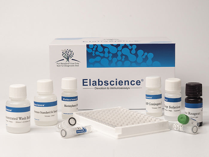 DHT(Dihydrotestosterone) ELISA Kit, Cell Assays, Elabscience Biotechnology, MSE Supplies