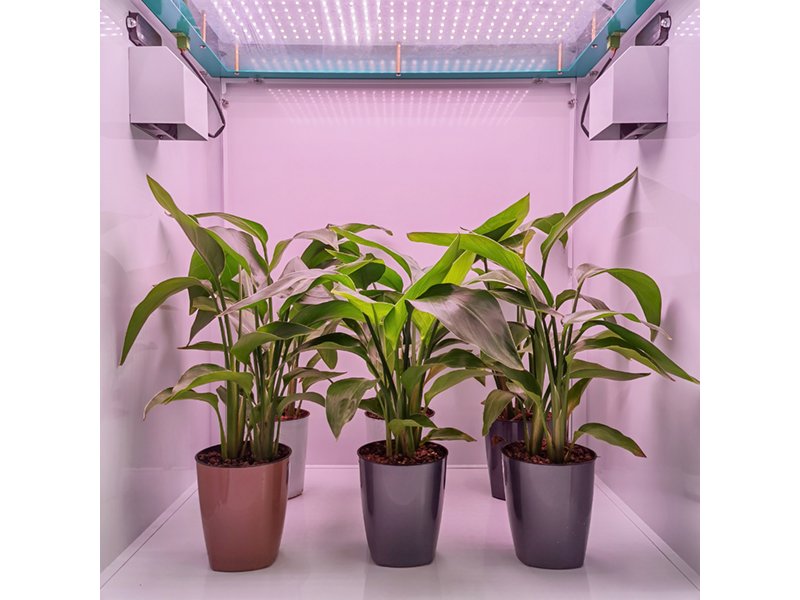 JIUPO 200L Simple Type Growth Chamber, Incubators and Environmental Chambers, JIUPO, MSE Supplies