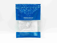 FUT1 Polyclonal Antibody Store at -20°C