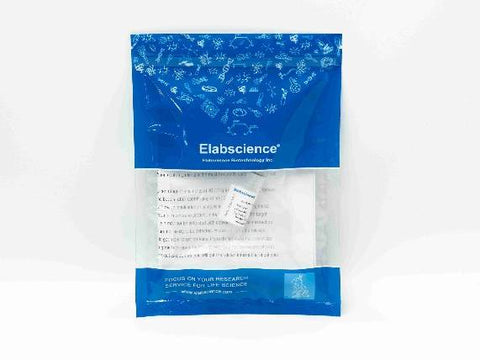 HMGCS1 Polyclonal Antibody Store at -20°C Host Rabbit