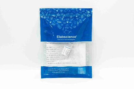 CDH12 Polyclonal Antibody