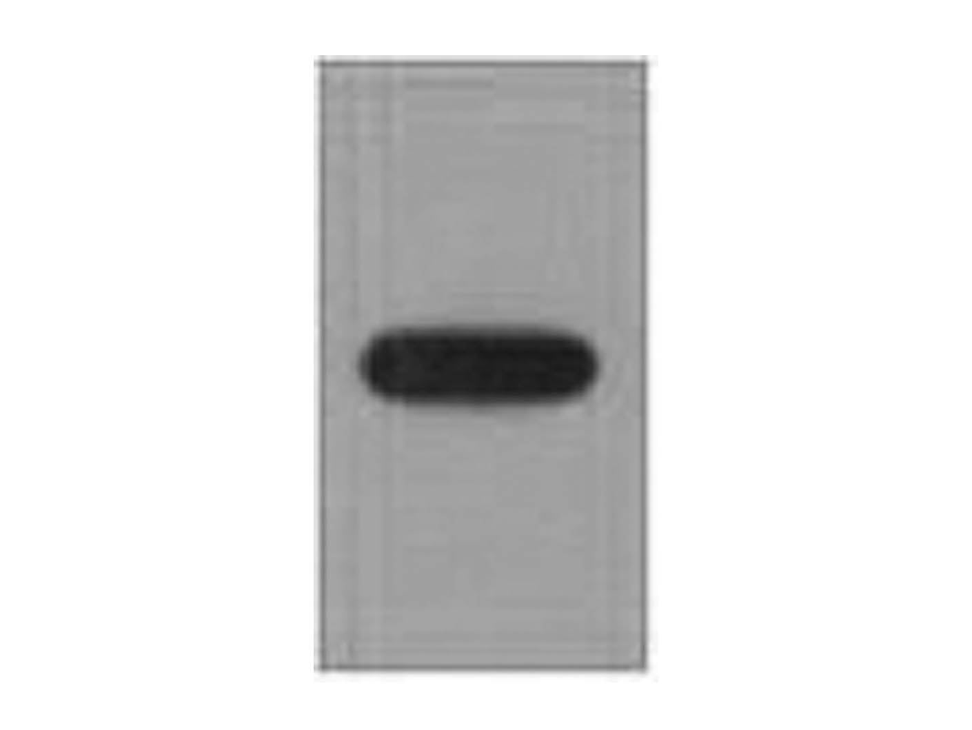 EYFP Monoclonal Antibody