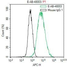 His-Tag Monoclonal Antibody Host Mouse