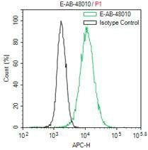 GFP Monoclonal Antibody Host Mouse