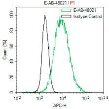 HA-Tag Monoclonal Antibody Host Mouse