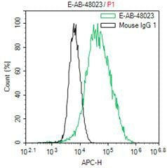 Myc-Tag Monoclonal Antibody Reactivity All