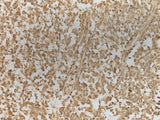 ZNF8 Polyclonal Antibody