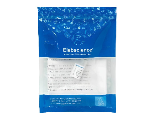 (KO Validated) CD33 Polyclonal Antibody