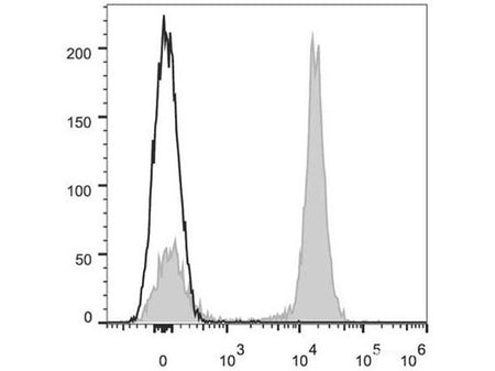 Elab Fluor® 647 Anti-Mouse CD19 Antibody[1D3], Biomarkers, Elabscience Biotechnology, MSE Supplies