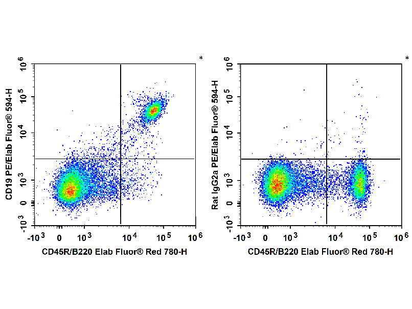 PE/Elab Fluor® 594 Anti-Mouse CD19 Antibody[1D3], Biomarkers, Elabscience Biotechnology, MSE Supplies