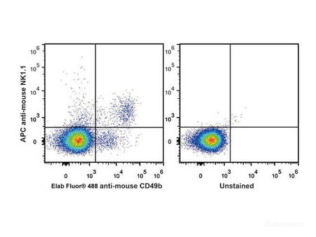 APC Anti-Mouse CD161/NK1.1 Antibody[PK136], Biomarkers, Elabscience Biotechnology, MSE Supplies