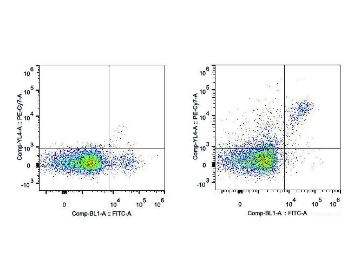 PE/Cyanine7 Anti-Mouse CD161/NK1.1 Antibody[PK136], Biomarkers, Elabscience Biotechnology, MSE Supplies