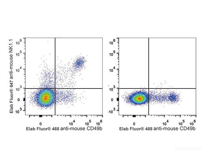 Elab Fluor® 647 Anti-Mouse CD161/NK1.1 Antibody[PK136], Biomarkers, Elabscience Biotechnology, MSE Supplies