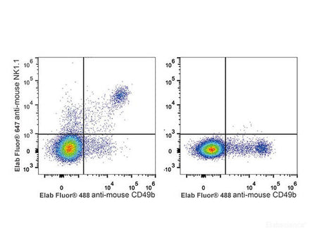 Elab Fluor® 647 Anti-Mouse CD161/NK1.1 Antibody[PK136], Biomarkers, Elabscience Biotechnology, MSE Supplies