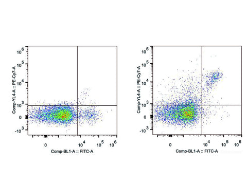 PE/Cyanine7 Anti-Mouse CD161/NK1.1 Antibody[PK136], Biomarkers, Elabscience Biotechnology, MSE Supplies