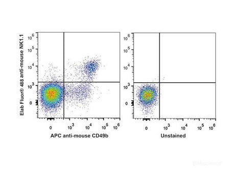 Elab Fluor® 488 Anti-Mouse CD161/NK1.1 Antibody[PK136], Biomarkers, Elabscience Biotechnology, MSE Supplies