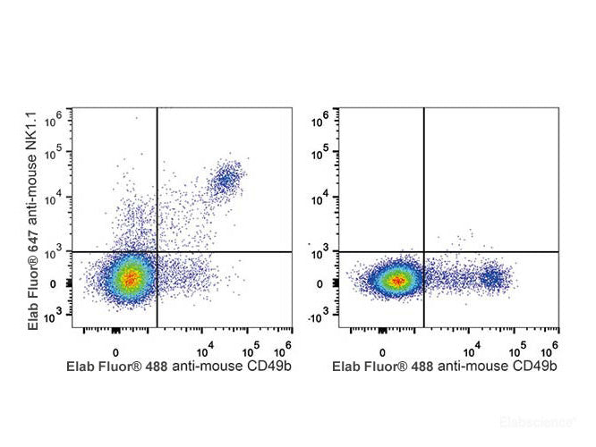 Elab Fluor® 647 Anti-Mouse CD161/NK1.1 Antibody[PK136], Biomarkers, Elabscience Biotechnology, MSE Supplies