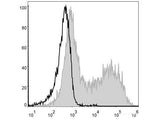 PE Anti-Mouse MHC II (I-A/I-E) Antibody[M5/114], Biomarkers, Elabscience Biotechnology, MSE Supplies