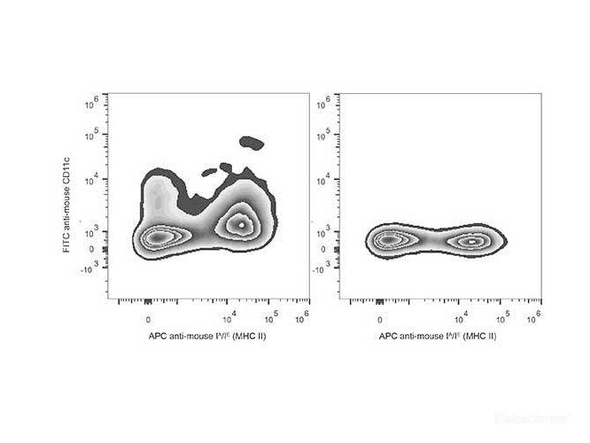 FITC Anti-Mouse CD11c Antibody[N418], Biomarkers, Elabscience Biotechnology, MSE Supplies