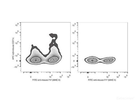 APC Anti-Mouse CD11c Antibody[N418], Biomarkers, Elabscience Biotechnology, MSE Supplies
