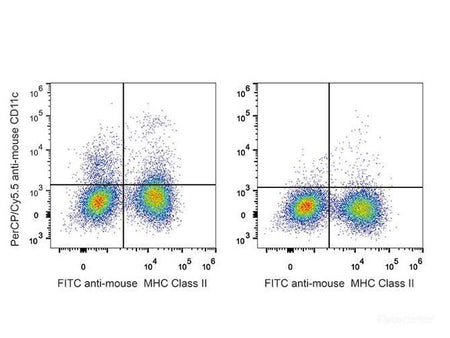 PerCP/Cyanine5.5 Anti-Mouse CD11c Antibody[N418], Biomarkers, Elabscience Biotechnology, MSE Supplies
