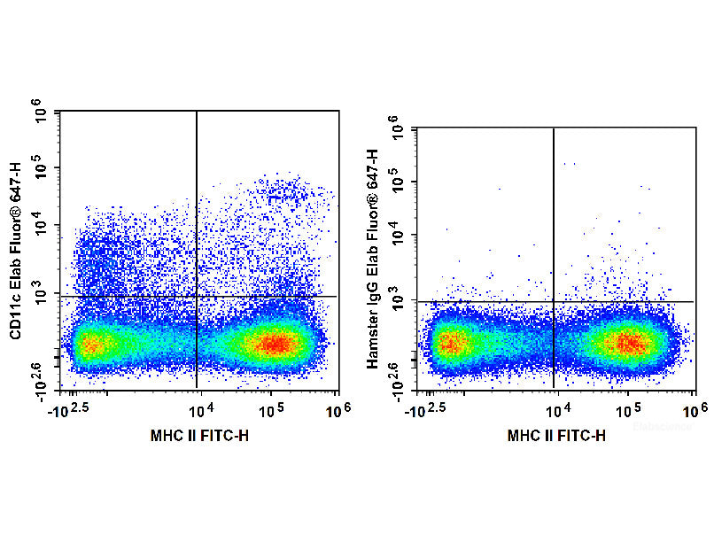 Elab Fluor® 647 Anti-Mouse CD11c Antibody[N418], Biomarkers, Elabscience Biotechnology, MSE Supplies