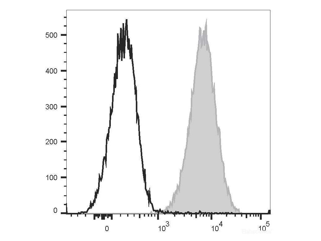 APC Anti-Mouse CD80 Antibody[16-10A1], Biomarkers, Elabscience Biotechnology, MSE Supplies