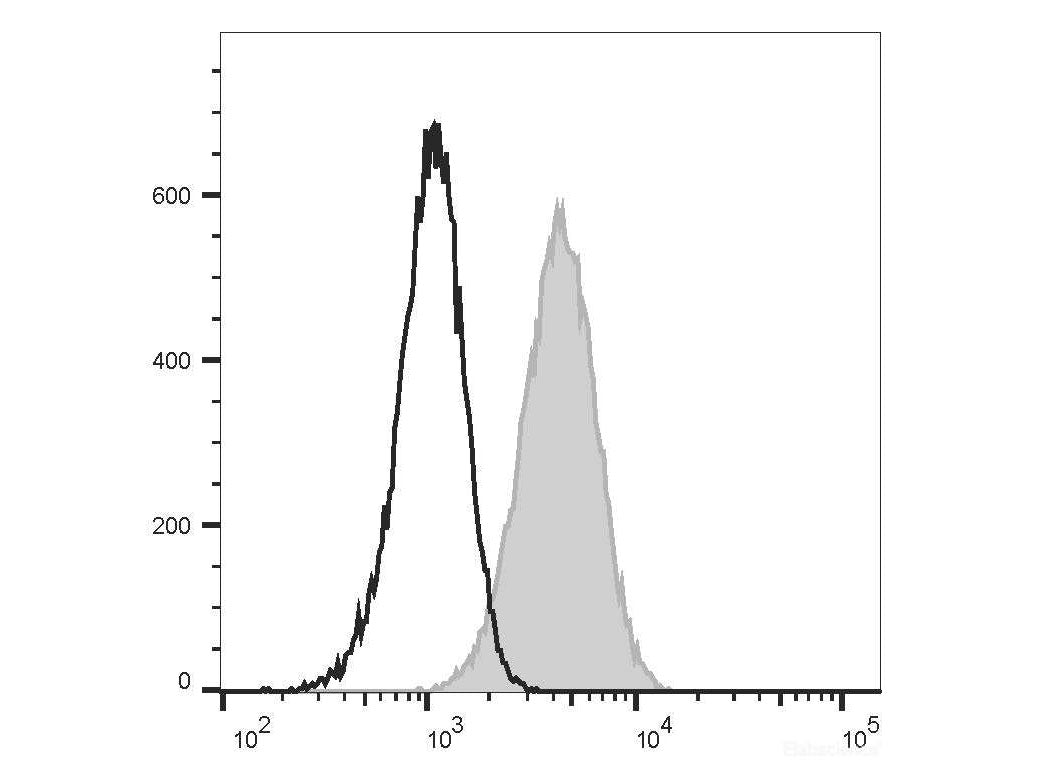 Elab Fluor® Violet 450 Anti-Mouse CD80 Antibody[16-10A1], Biomarkers, Elabscience Biotechnology, MSE Supplies