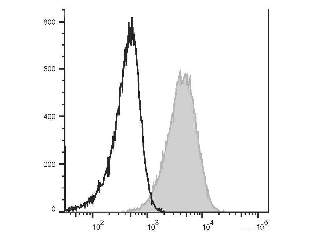 Elab Fluor® Red 780 Anti-Mouse CD80 Antibody[16-10A1], Biomarkers, Elabscience Biotechnology, MSE Supplies