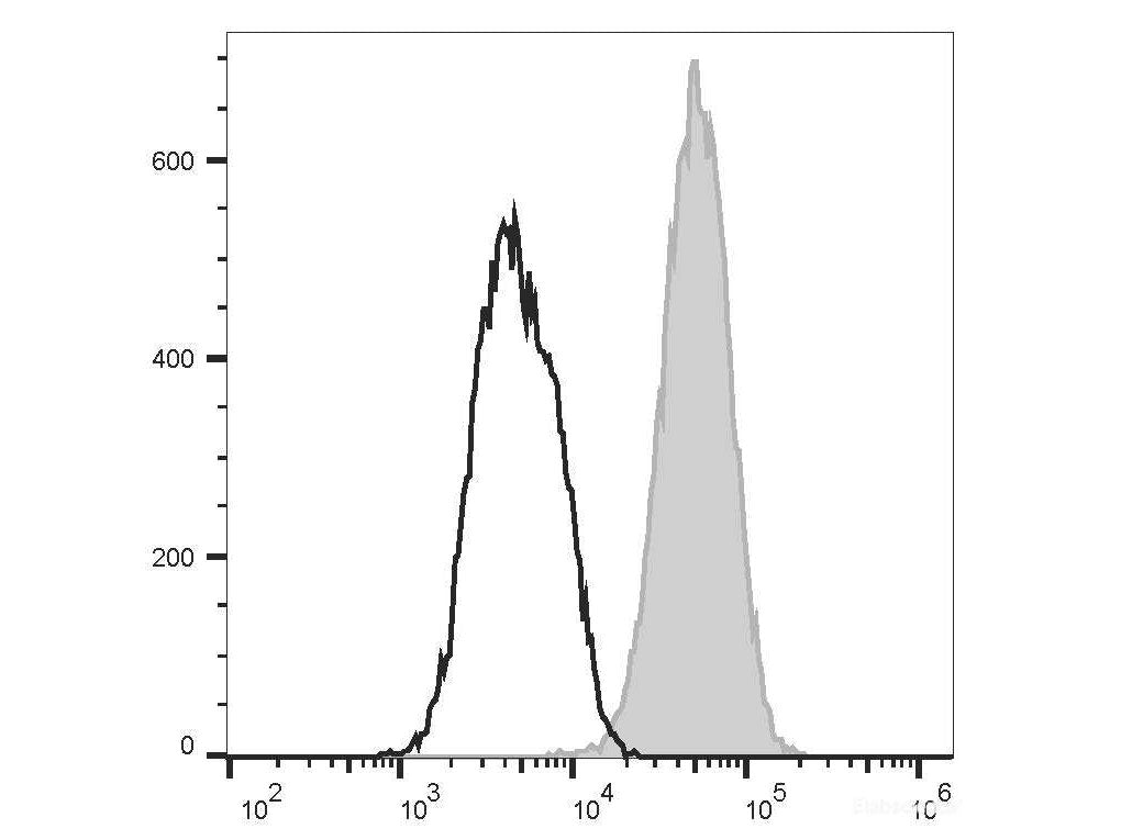FITC Anti-Mouse CD80 Antibody[16-10A1], Biomarkers, Elabscience Biotechnology, MSE Supplies