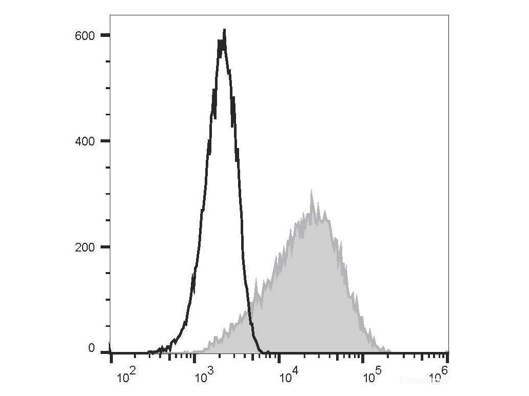 PE/Elab Fluor® 594 Anti-Human CD83 Antibody[HB15e], Biomarkers, Elabscience Biotechnology, MSE Supplies