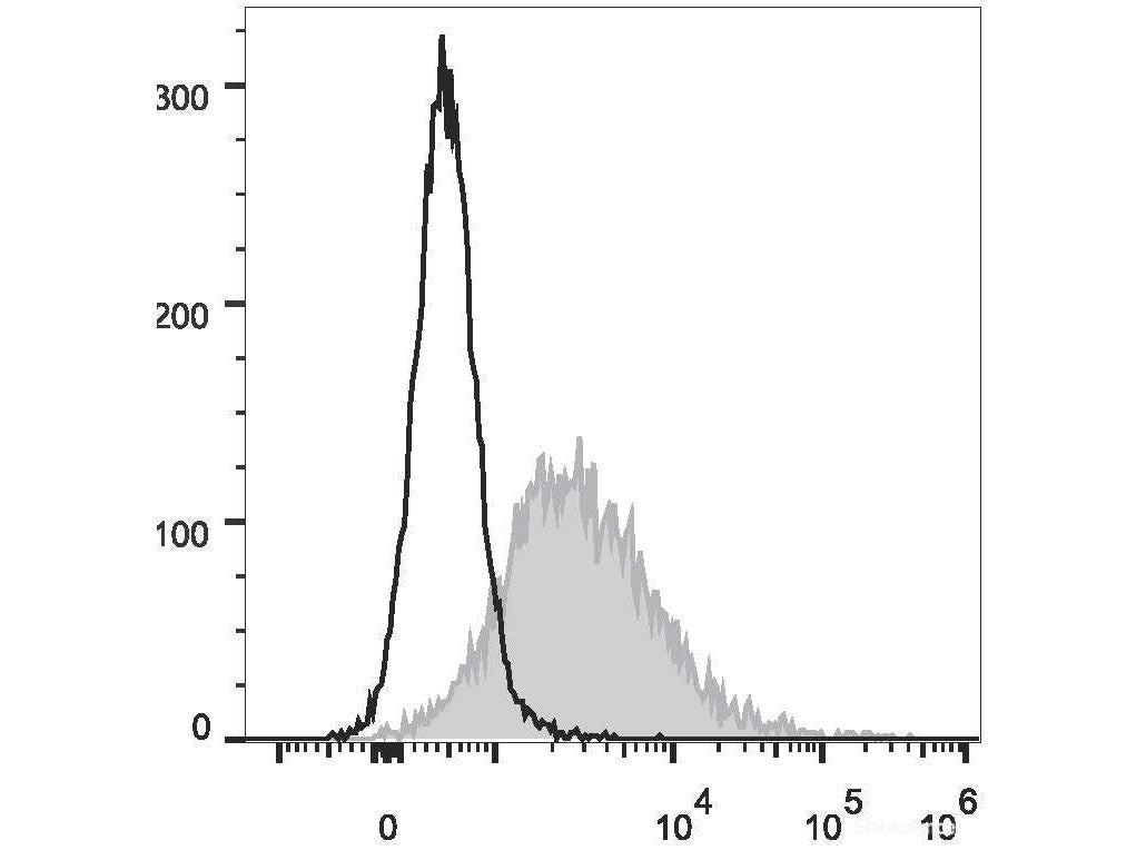 PE Anti-Mouse CD86 Antibody[GL-1], Biomarkers, Elabscience Biotechnology, MSE Supplies